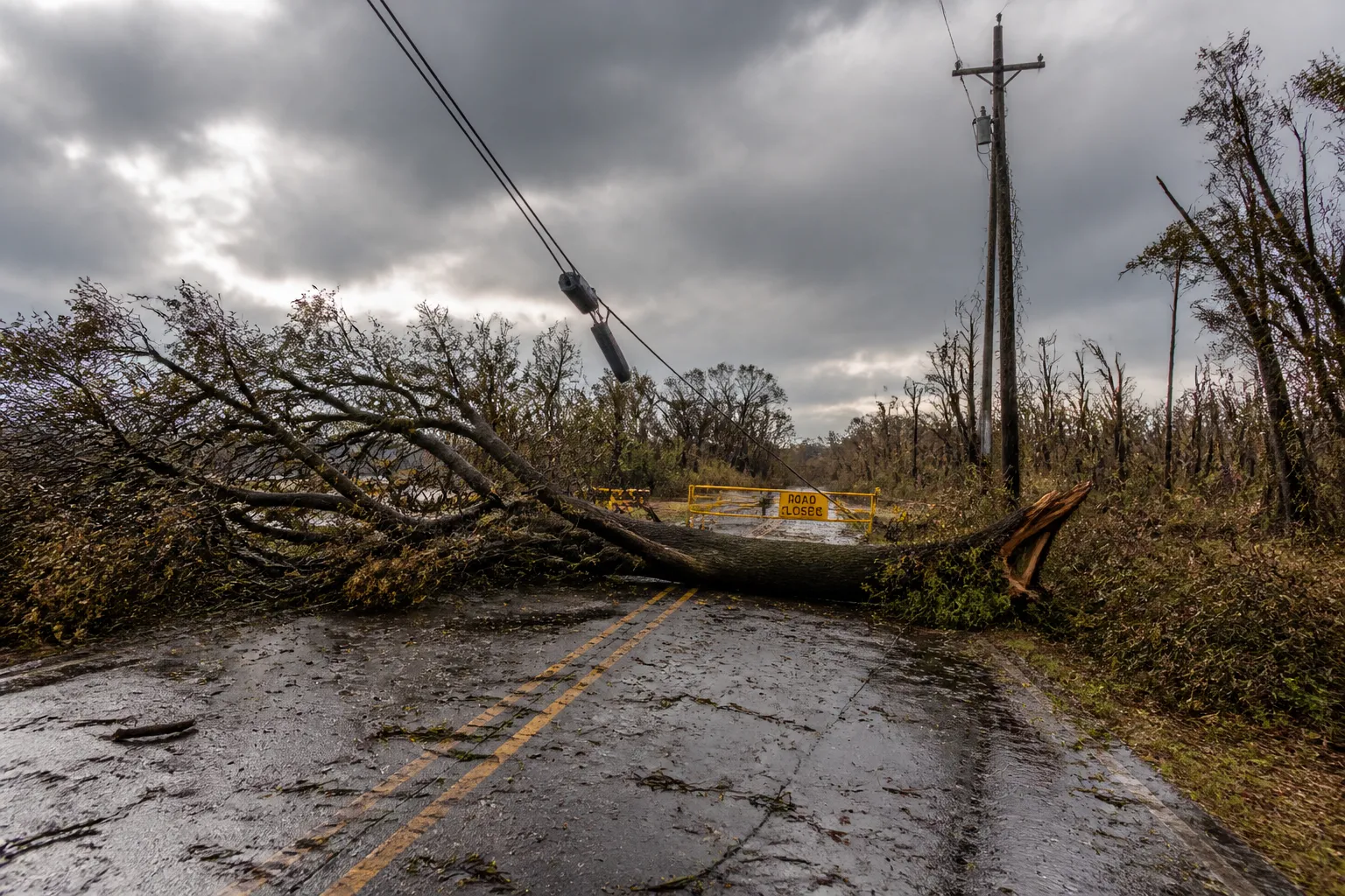 Strong Winds in Wendell Falls Cause Power Outages, Tree Damage, and Road Closure
